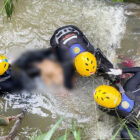 Aisyah, bocah 5 tahun yang hanyut di drainase dekat rumahnya, saat hujan deras melanda Kota Jambi, ditemukan tersangkut di semak-semak | sar
