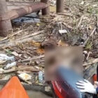 Shalsabila Andriany yang nekat melompat dari Jembatan Batanghari I, Jumat lalu, ditemukan dalam kondisi meninggal dunia, Minggu | sar