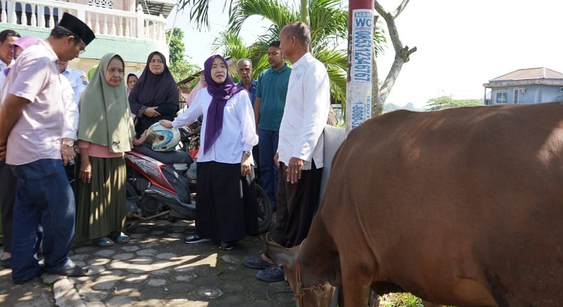 Hesti Haris menyerahkan hewan kurban dari BKMT Provinsi Jambi, Selasa | novri