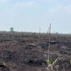 Lahan yang terbakar di wilayah hukum Polres Bengkalis, Provinsi Riau | ist