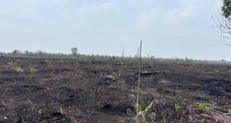 Lahan yang terbakar di wilayah hukum Polres Bengkalis, Provinsi Riau | ist