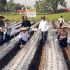 Penanaman bawang putih di Kayu Aro, Kerinci, Jambi, Rabu | humas polda