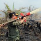 Gubernur Jambi, Al Haris, ikut memadamkan api pada lahan gambut di Desa Persiapan Air Merah, Sungai Gelam, Muaro Jambi, Minggu | dki-pj