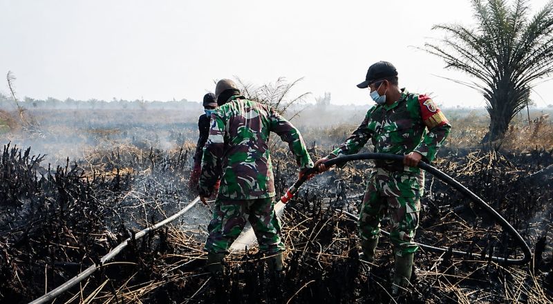 Kebakaran hutan terjadi di Provinsi Jambi. Upaya pemadaman dilakukan secara masif | dok penrem