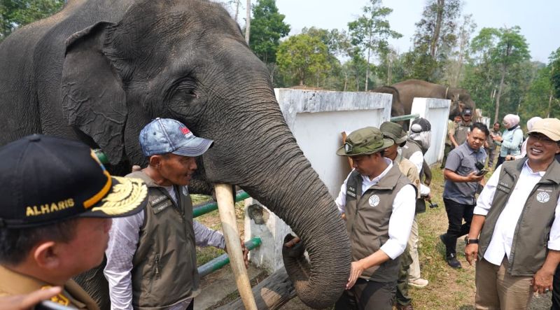 Menteri Kehutanan dan Gubernur Jambi meninjau kawasan konservasi gajah di Kabupaten Tebo, Jambi, Senin | dki-pj