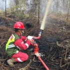 Petugas Pemadam PetroChina Jabung saat memadamkan api kebakaran hutan dan lahan di sekitar wilayah kerjanya | tim