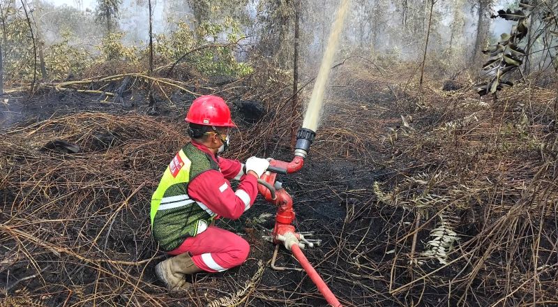 Petugas Pemadam PetroChina Jabung saat memadamkan api kebakaran hutan dan lahan di sekitar wilayah kerjanya | tim 