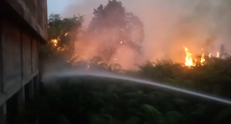 Kebakaran belukar di Jalan Lintas Timur Sumatra, Penyengat Rendah, Telanaipura, Kota Jambi, Selasa sore | dod