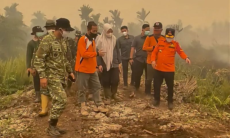 Kebakaran lahan di Desa Gedong Karya, Kumpeh, Muaro Jambi, Minggu | dki-pj