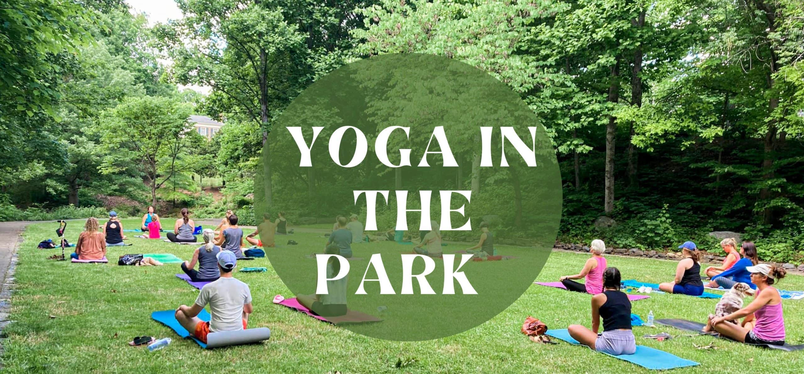 Yoga in the Park