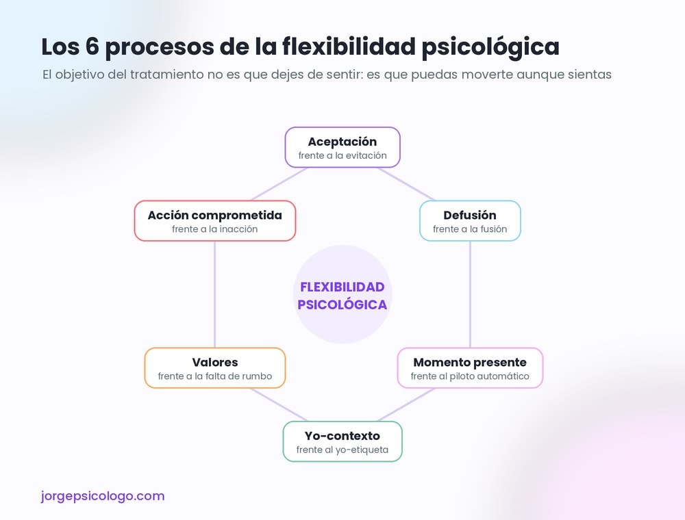 Los seis procesos de la flexibilidad psicológica en ACT