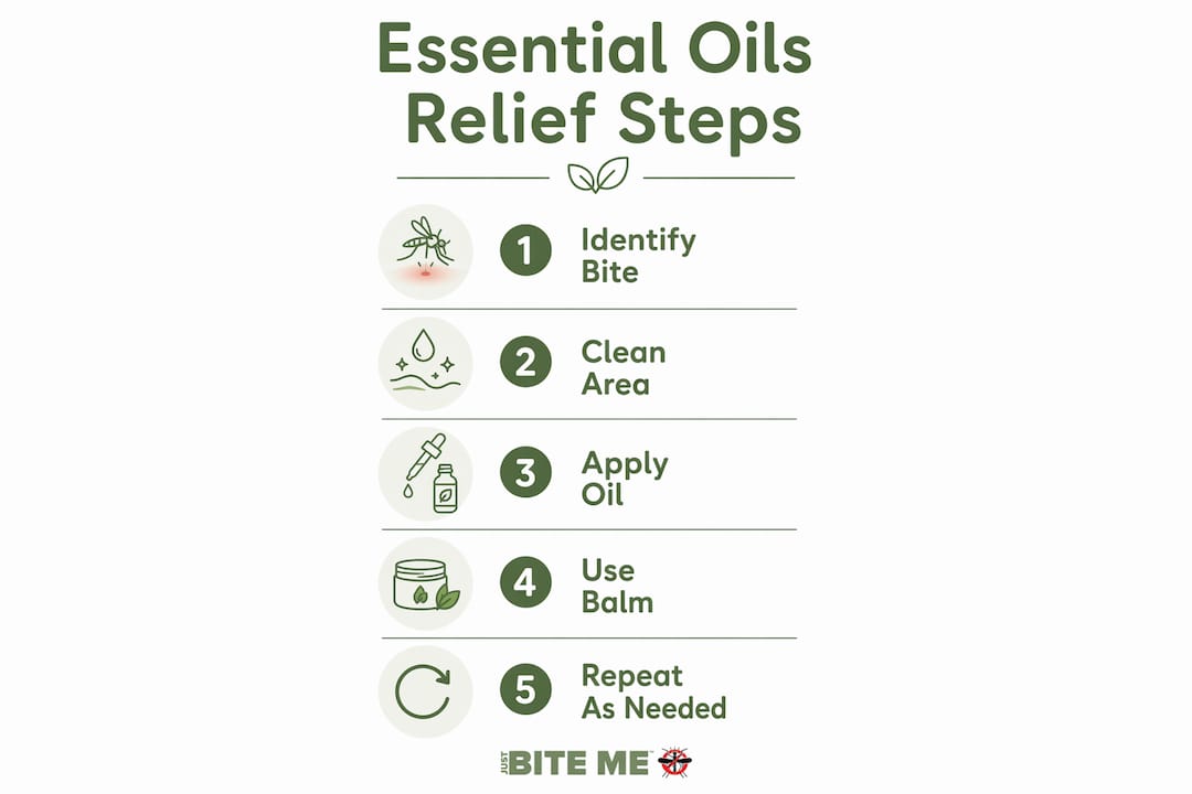 Infographic illustrating steps to use essential oils for bite relief
