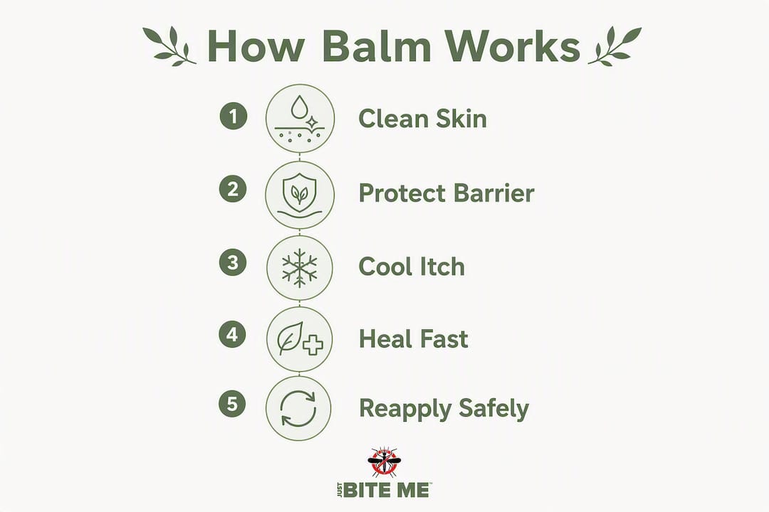 Infographic explaining balm application steps and effects