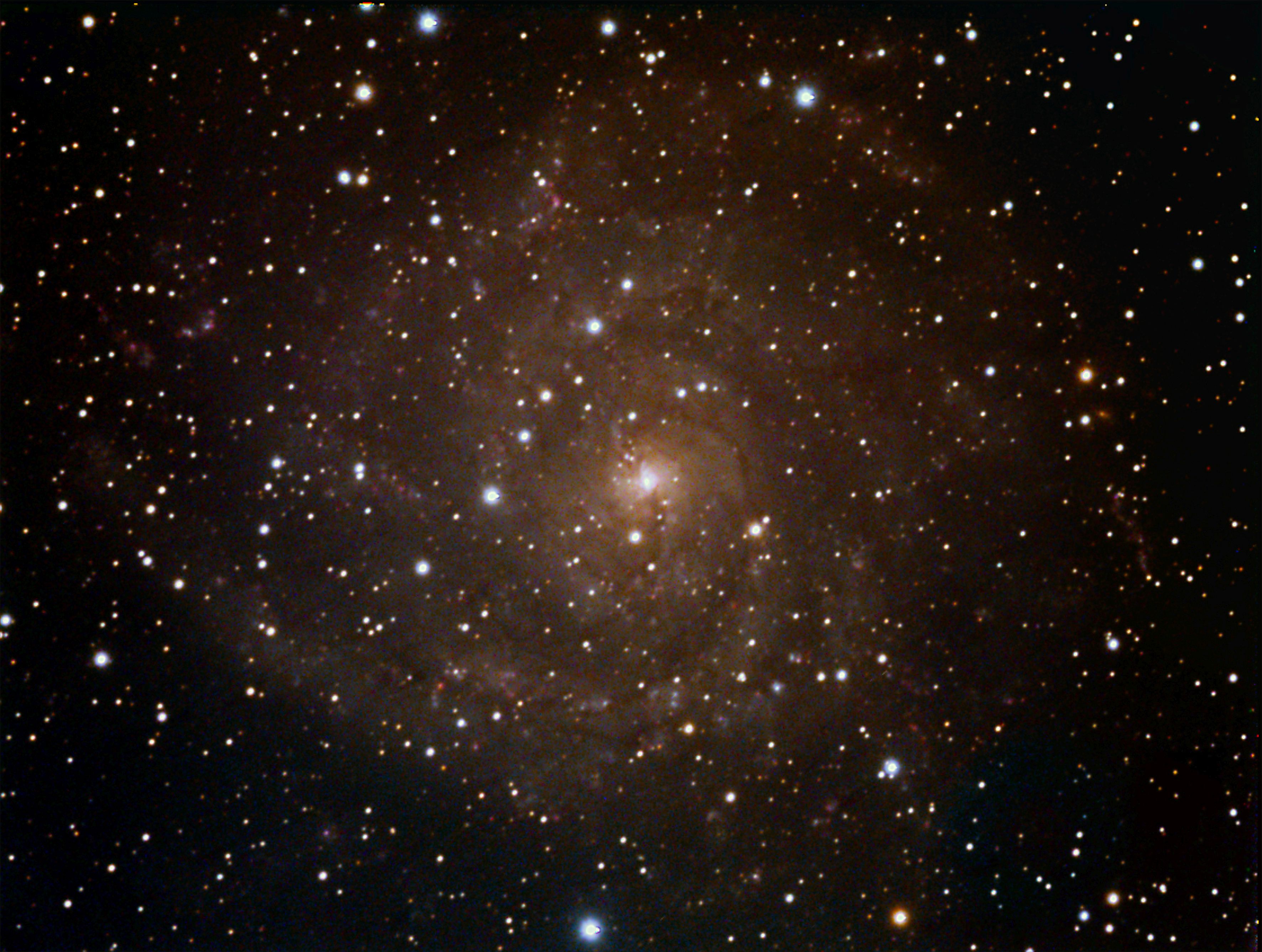 IC342 Una bella Galassia