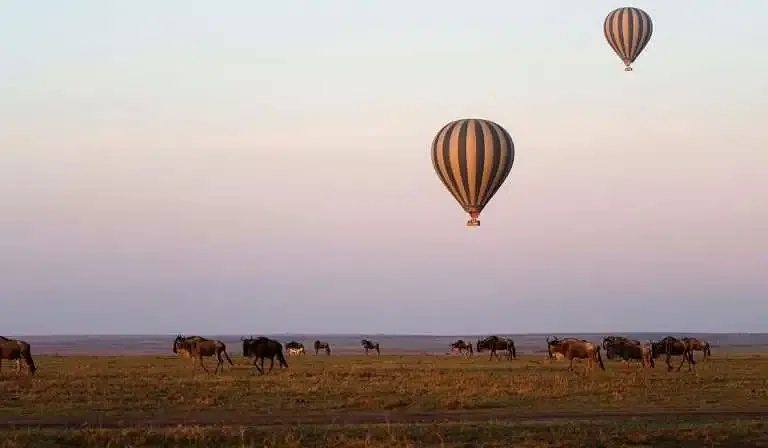 5-Day Fly-In and Drive Out Tanzania Safari