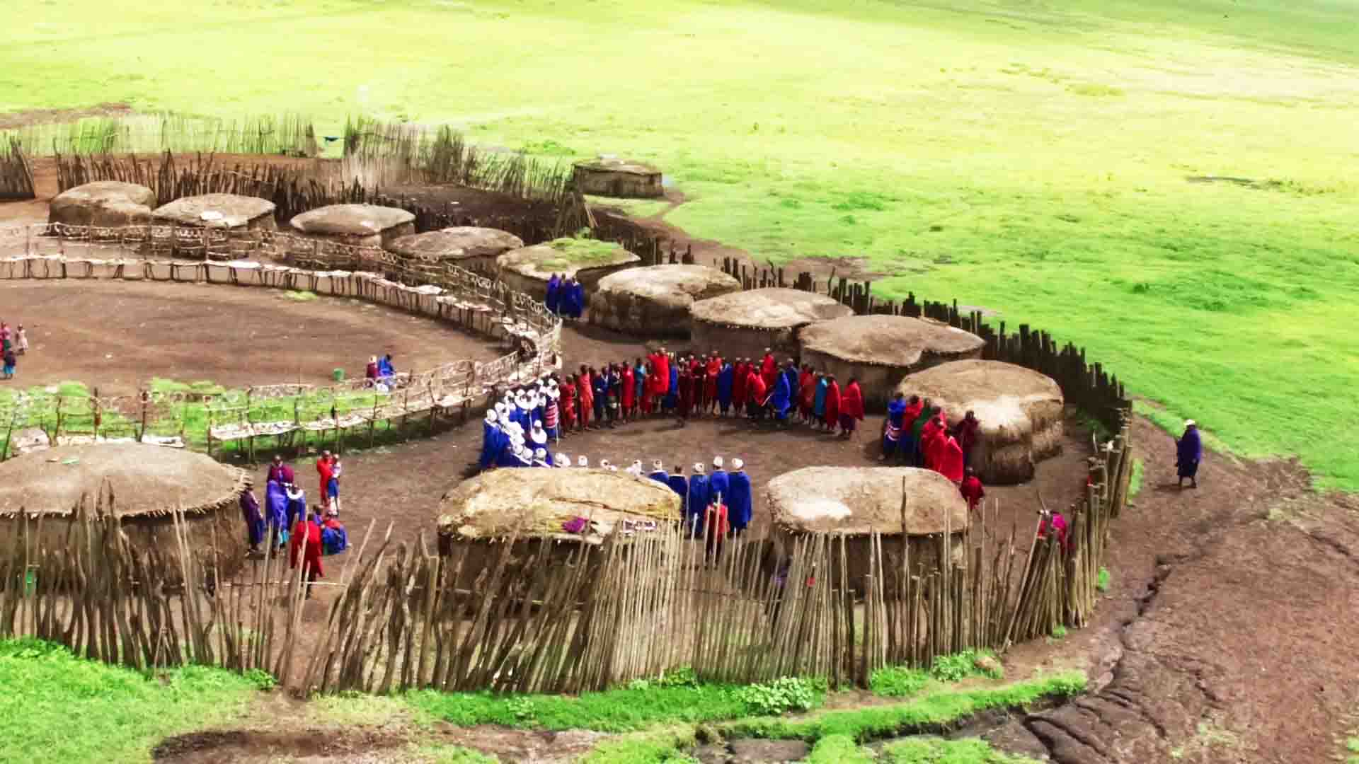 Ngorongoro Crater Day Trip