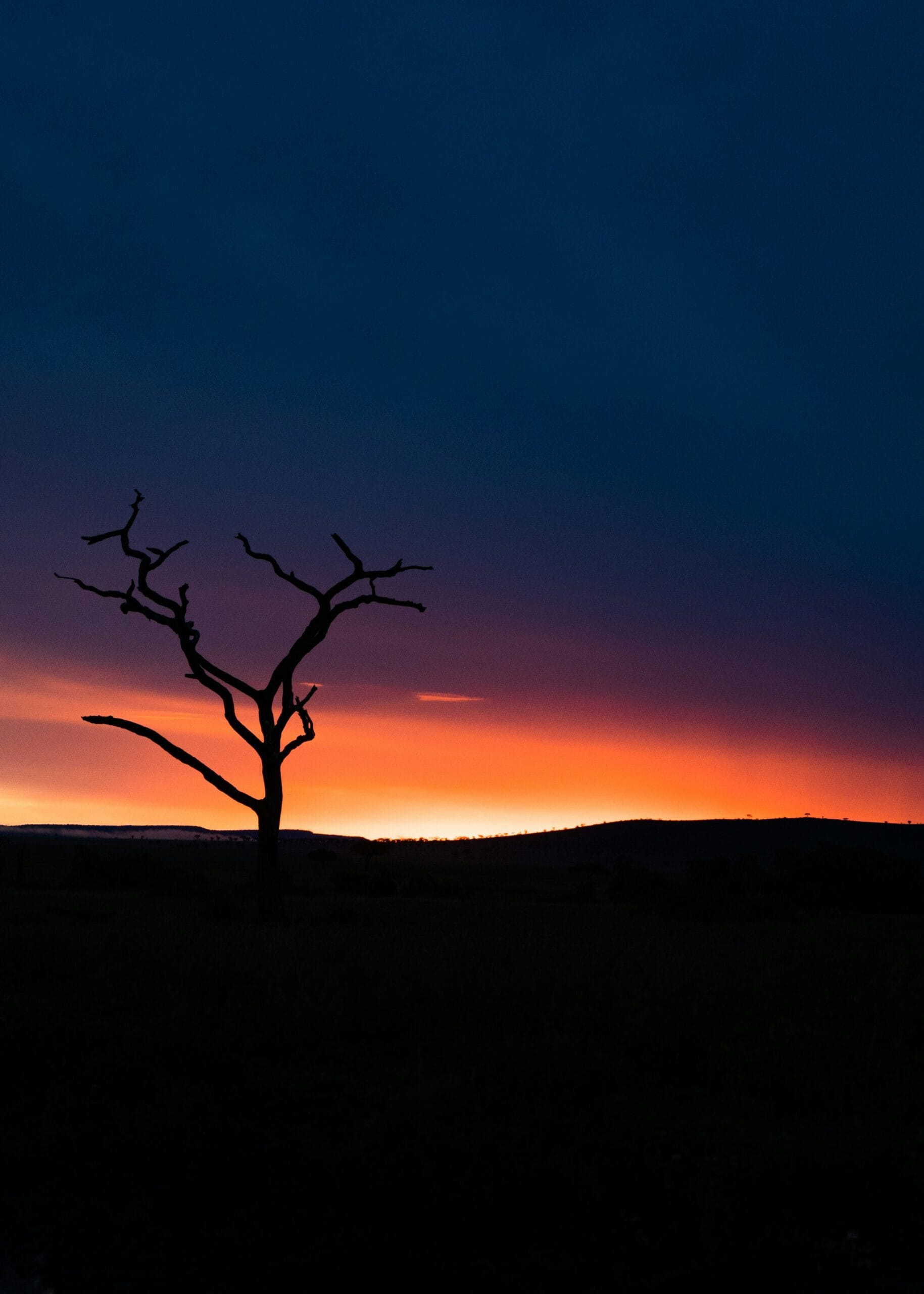 6-Day Tanzania Budget Camping Safari
