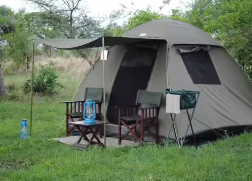 4-Day Group Tour to Tarangire, Serengeti, and Ngorongoro