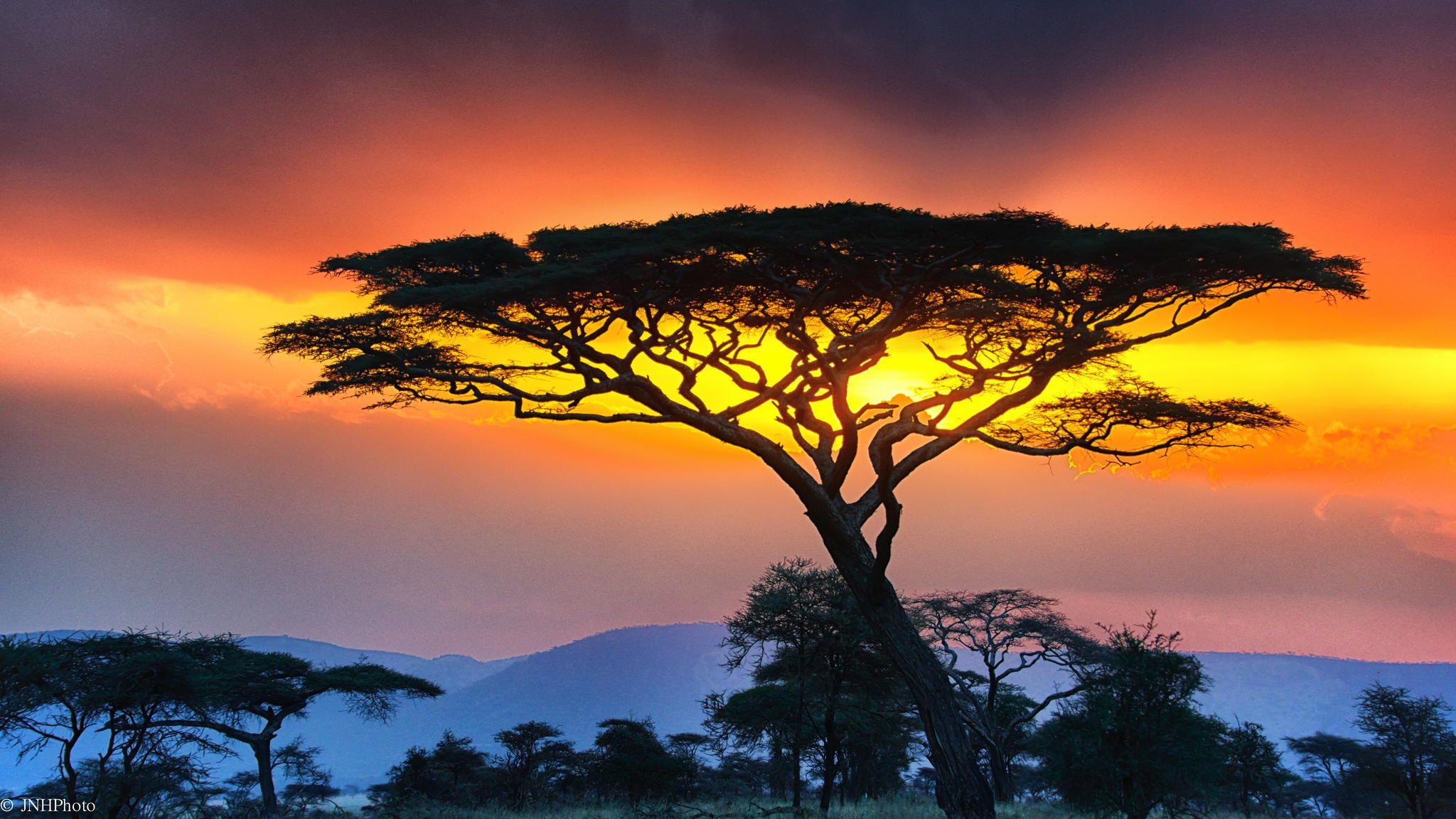 7-Day East Africa: Nairobi to Arusha Safari