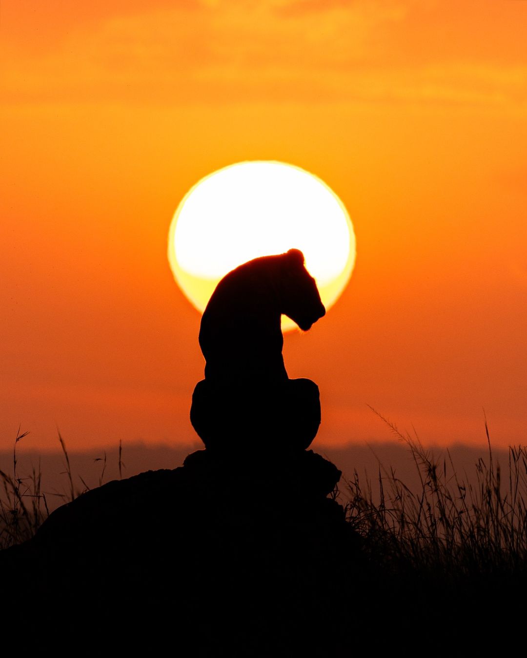 8-Day Serengeti Migration Camping Safari