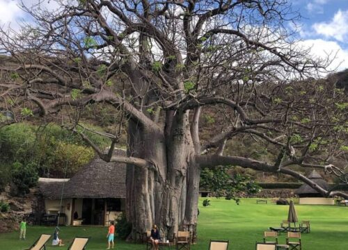5-Day Tanzania Camping Safari