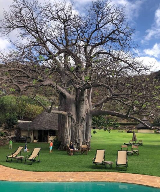 5-Day Tanzania Camping Safari