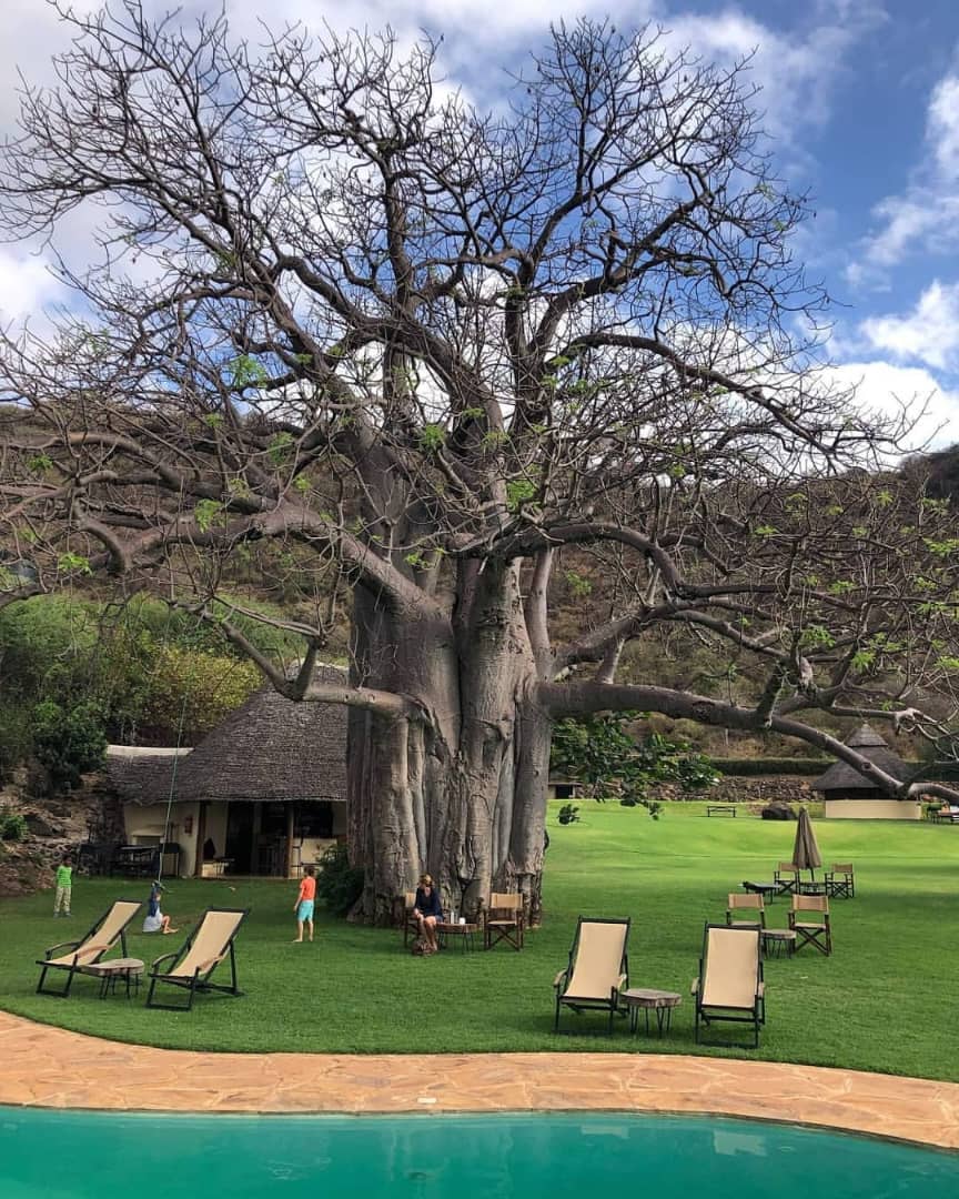 5-Day Tanzania Camping Safari