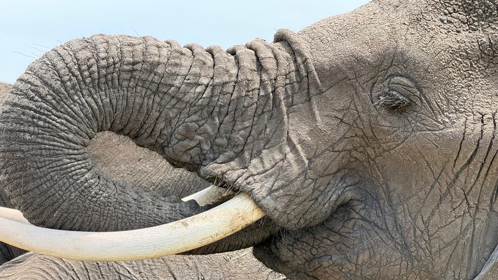 7-Day Tanzania Luxe Adventure