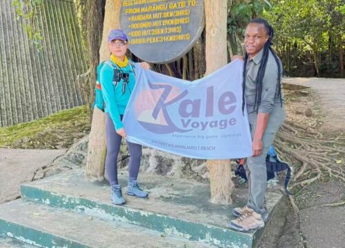 5-Day Tanzania Safari & Kilimanjaro Day Hike