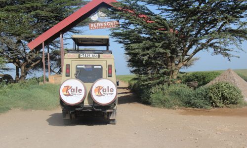 Kale Voyage jeep at the Serengeti gate.
