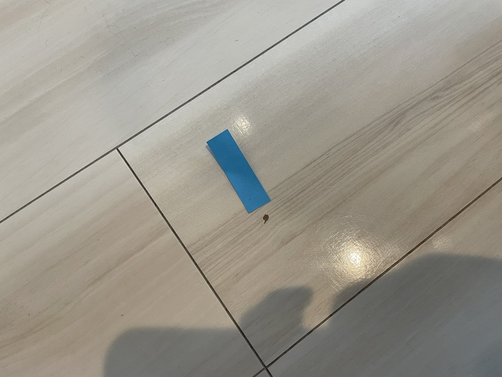 森のしずくに補修を依頼した箇所に貼った青いテープ
