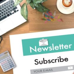 Anmeldung zum Katzenstimmen-Newsletter für Informationen rund um die Themen Katzenhaltung, Katzenverhalten, Katzentraining