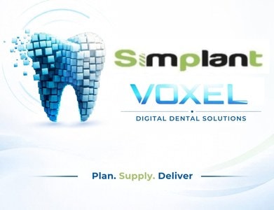 Simplant Voxel