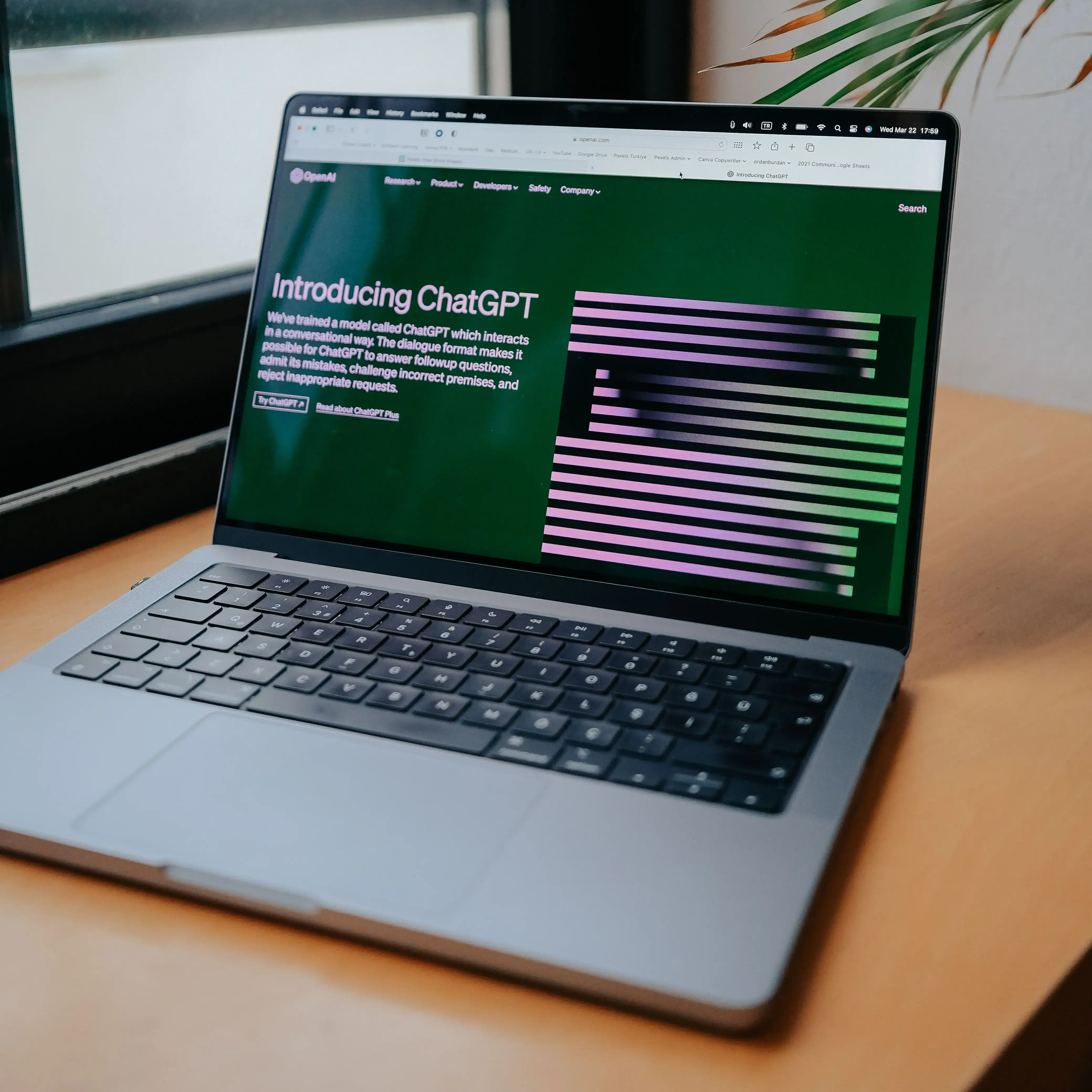 Small business owner checking whether AI search recommends their business