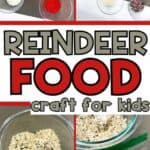 diy magic reindeer food