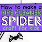 spider craft from pipe cleaner