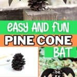 a black bat made from a pine cone
