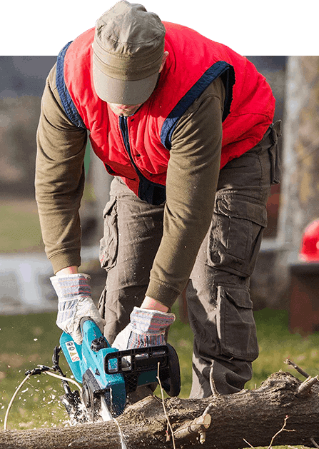 Tree Care