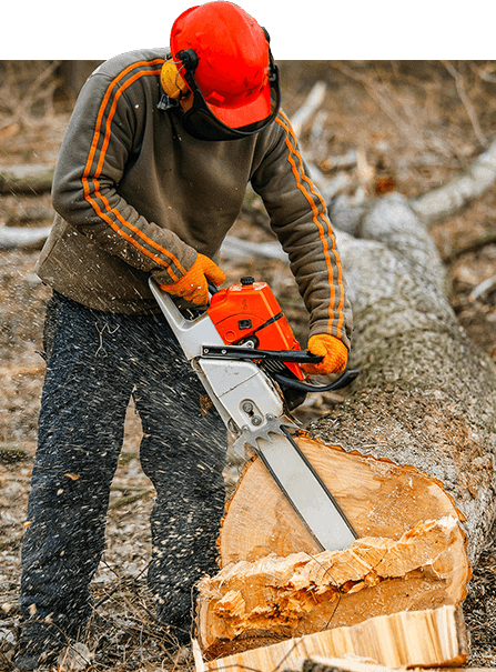 Tree Services