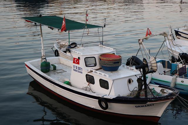 Av Yasağı Başlarken