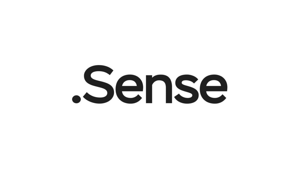 Migration and subsequent technical support of the site of the Sense development company