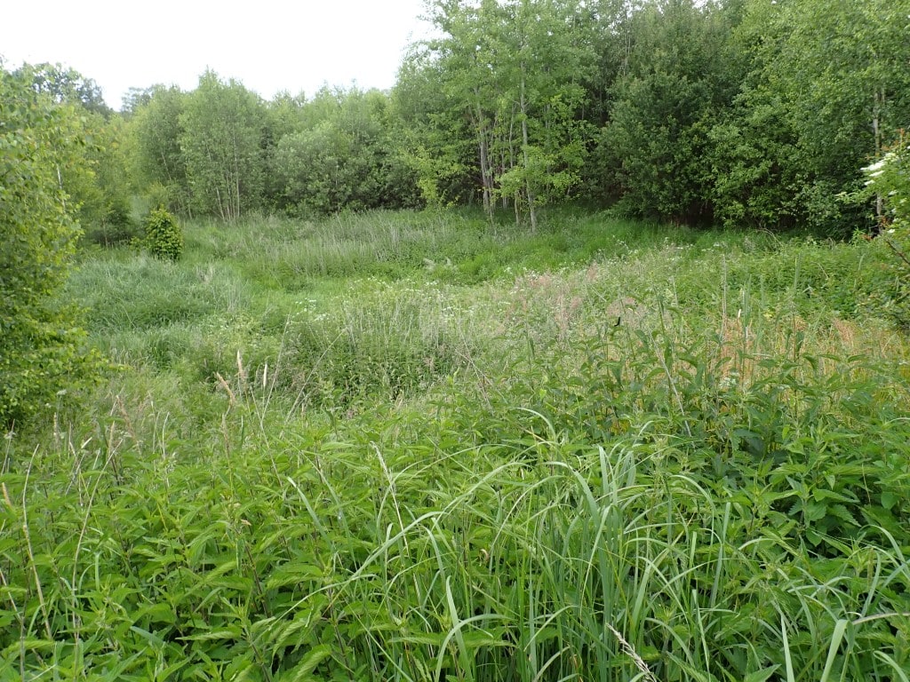 Działka niezabudowana o pow. 5,9533 ha w Tątławkach, gm. Morąg