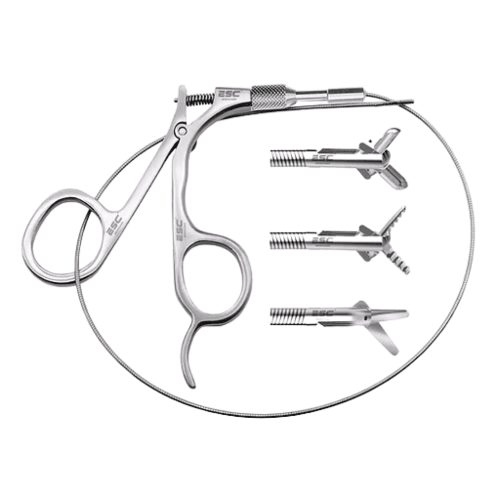 Flexible Endoscopy