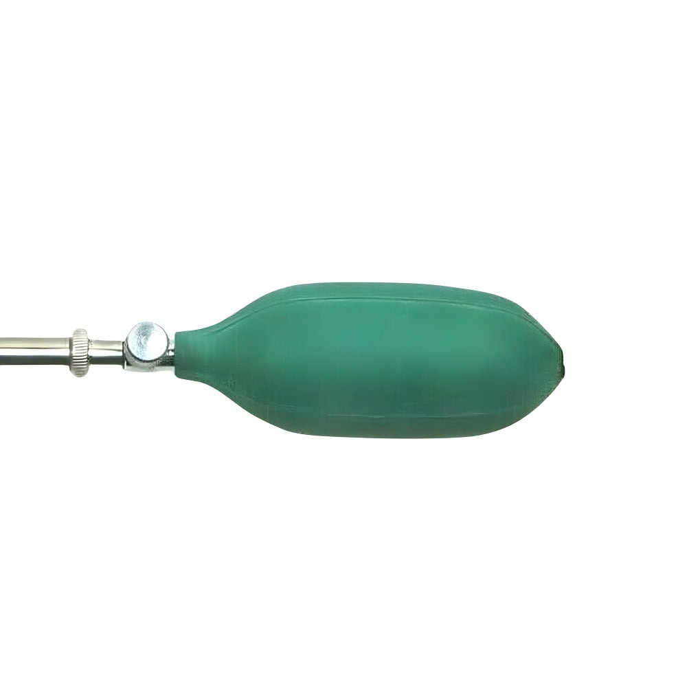 GAUR BALLOON