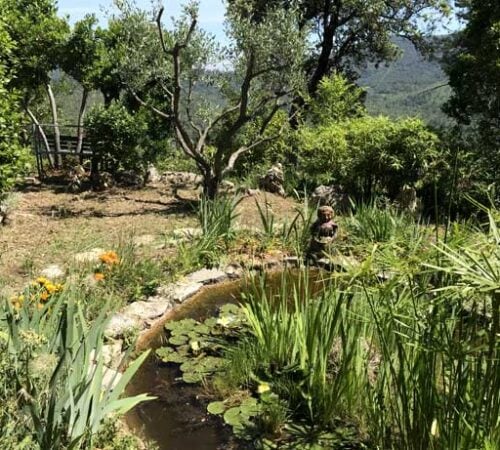Mar avec le poisson rouge,Teich mit Goldfischen, pond with goldfish