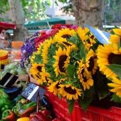 Region-Eindrücke 56 Markt5