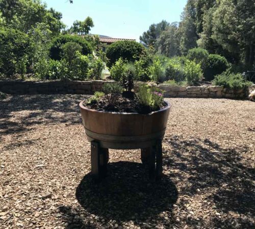 Jardin, Garten, garden