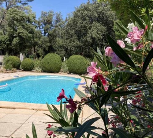 Piscine et laurier-rose, Pool mit Oleander