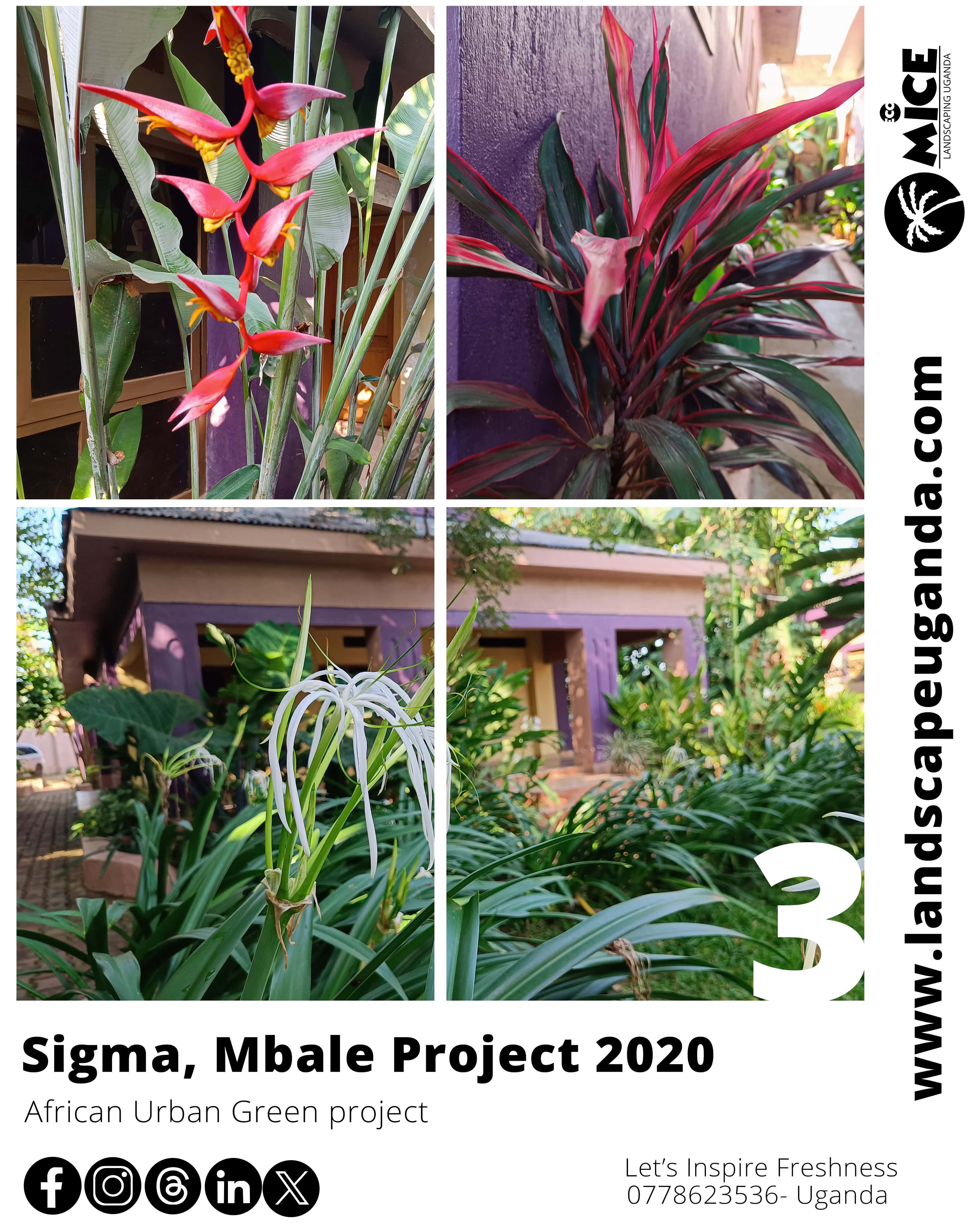 IMG_20240123_064703_881