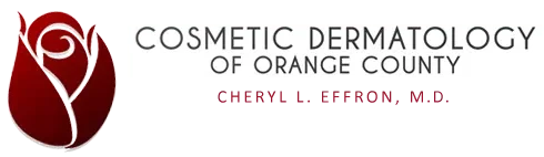 Logo Header Menu